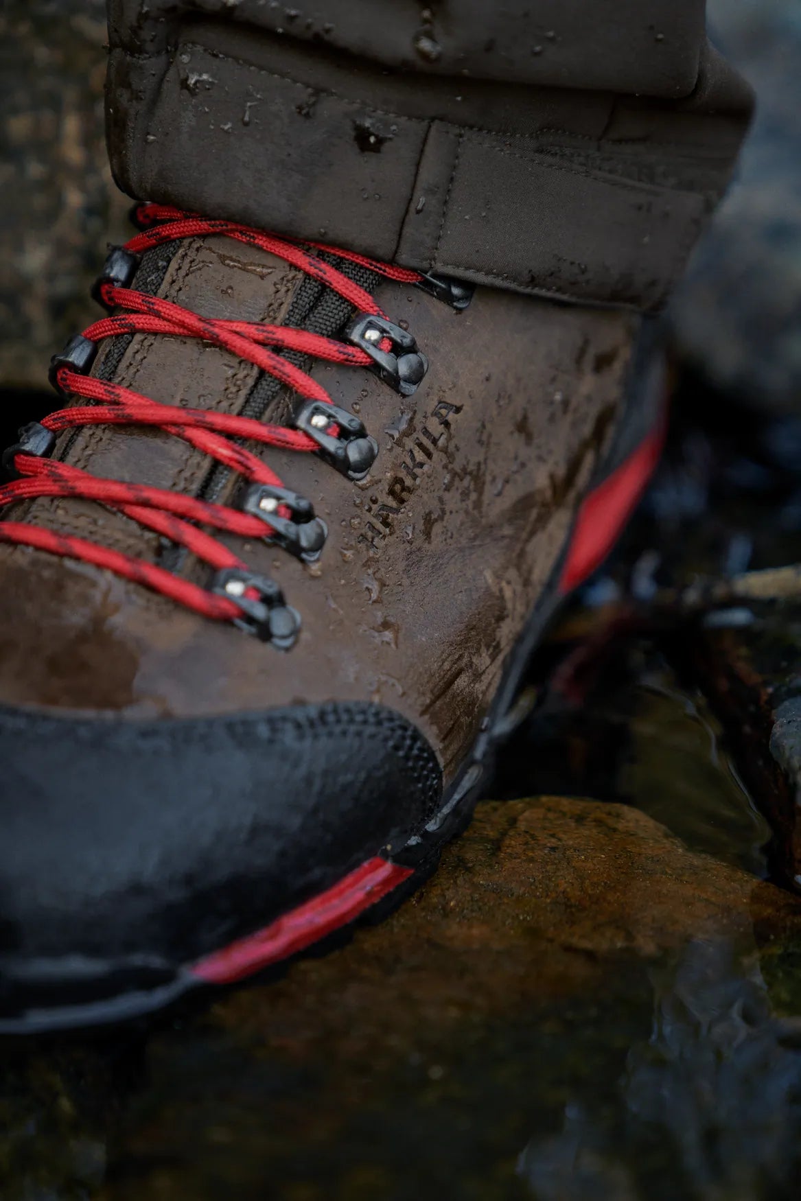 Forest Hunter Mid GTX - Dark Brown – Härkila
