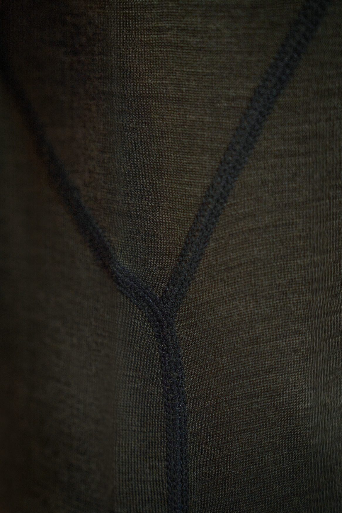 Apex One Hundred L/S T-skjorte – Pine Green – Seeland