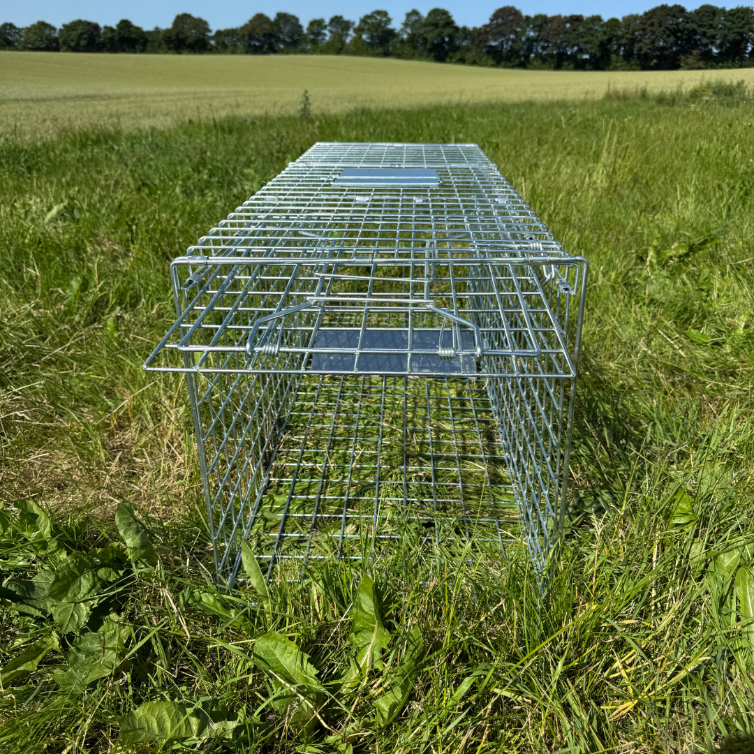 Rævefælde