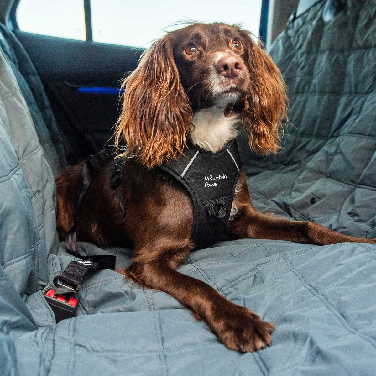Ekstra slitesterkt bilseteovertrekk for hund – Mountain Paws