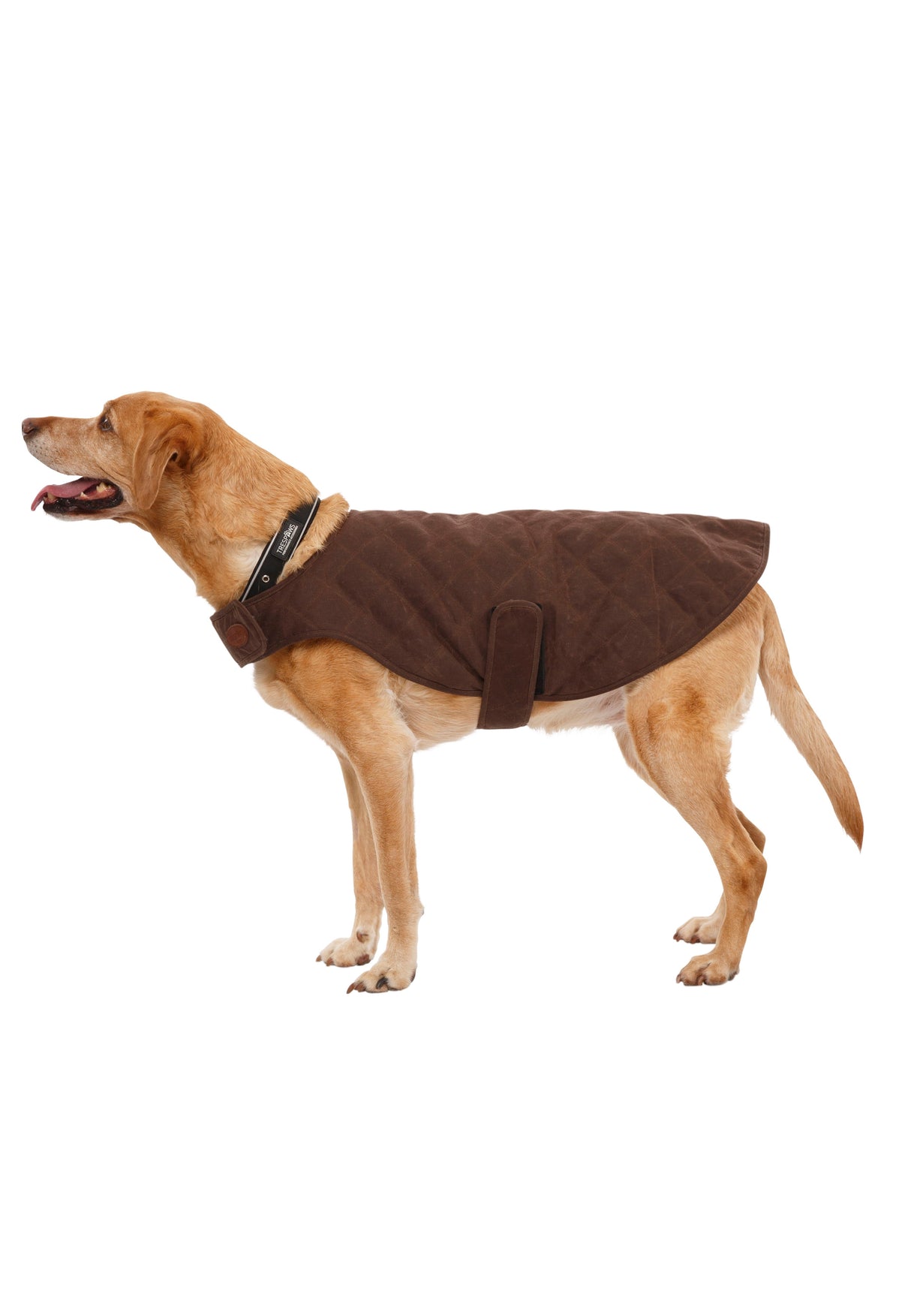 Artemis - Bark - Trespass