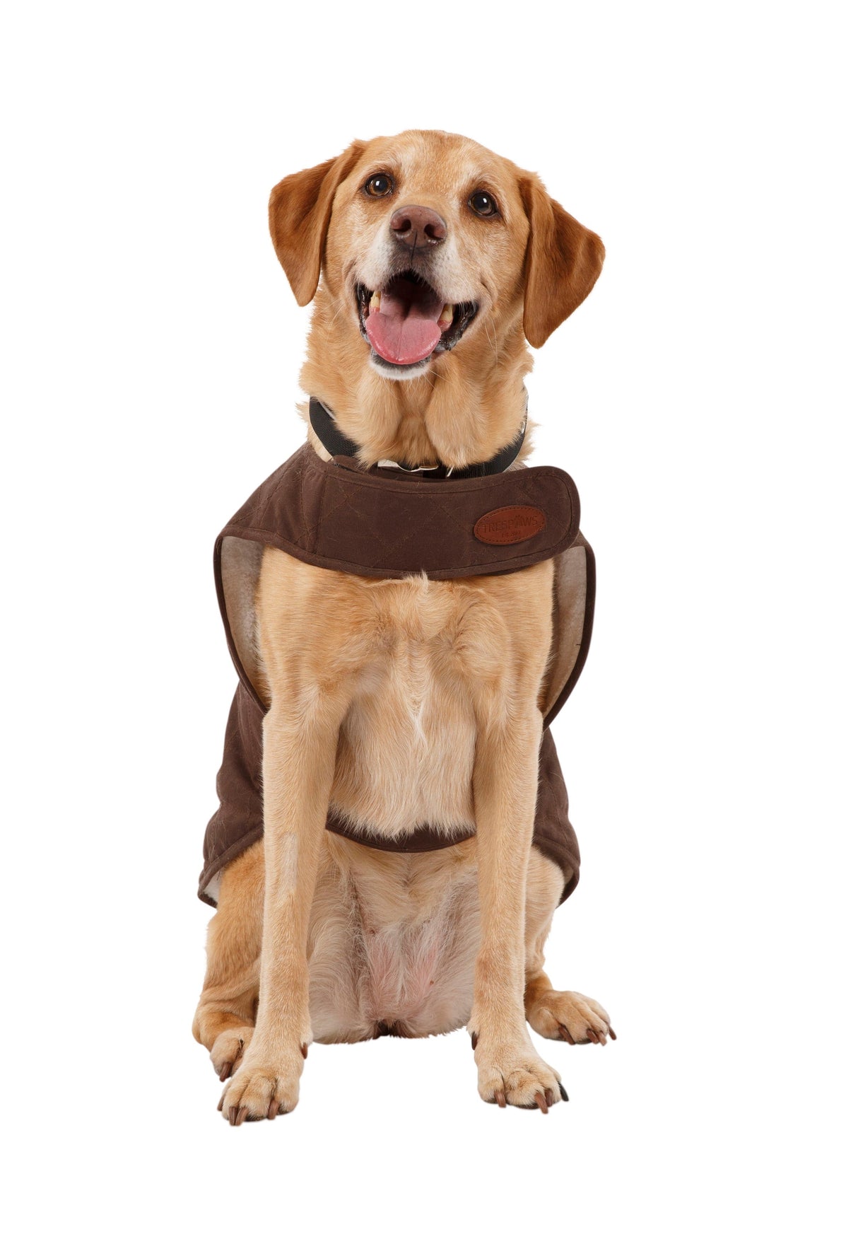Artemis - Bark - Trespass