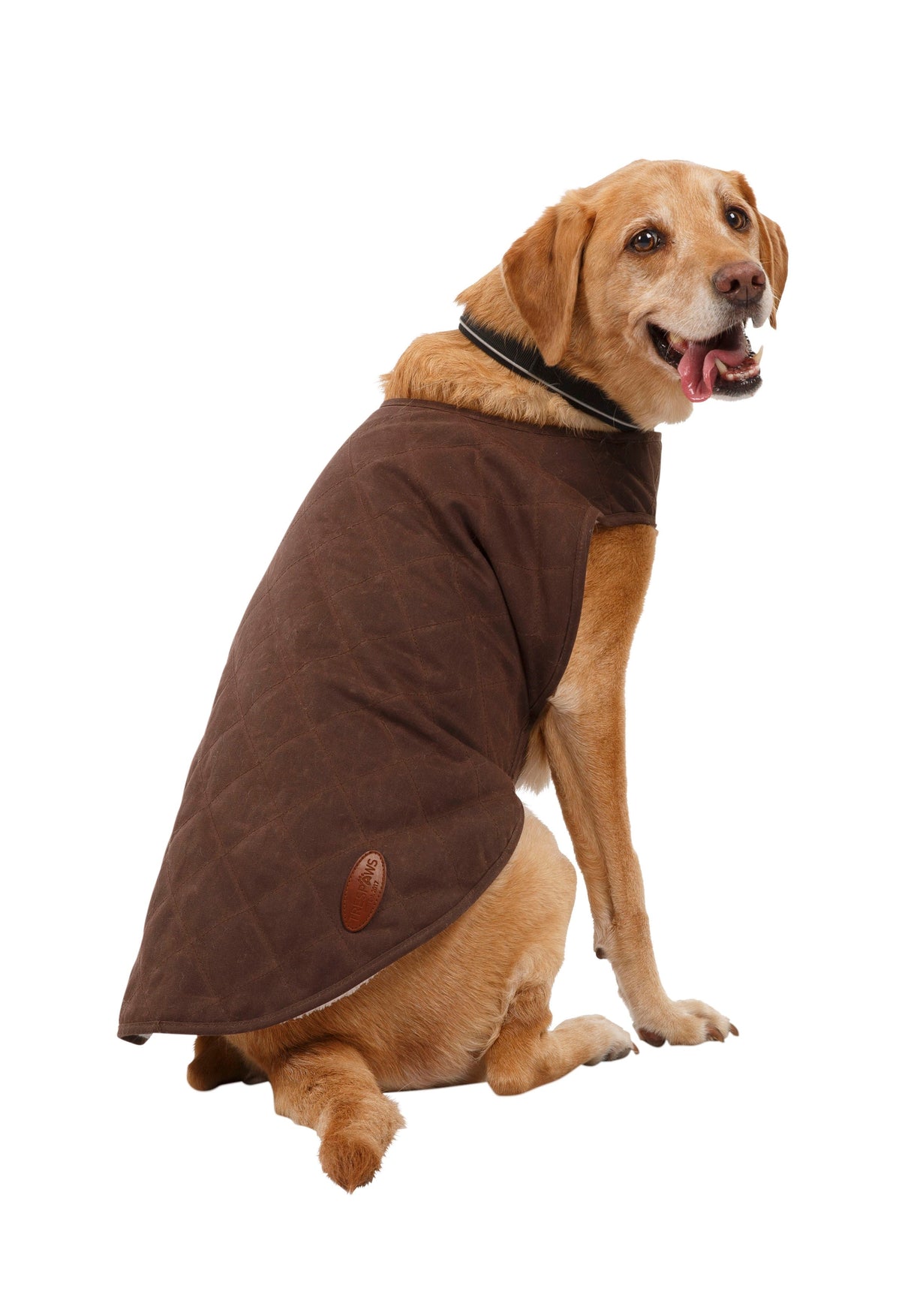 Artemis - Bark - Trespass