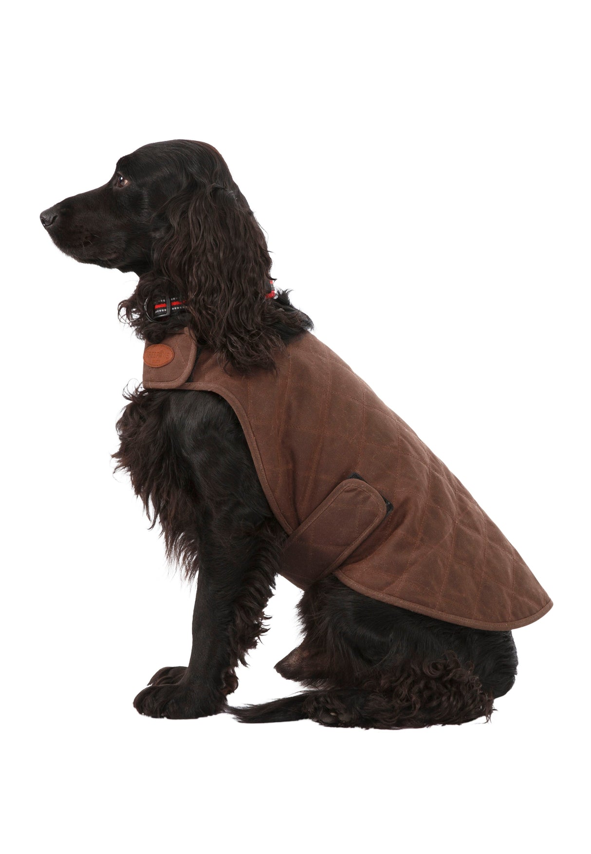 Artemis - Bark - Trespass