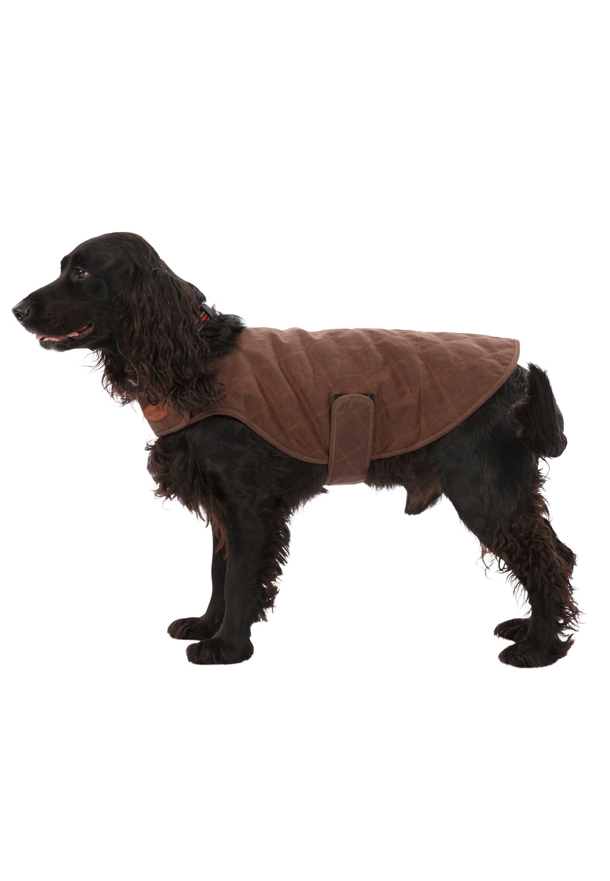 Artemis - Bark - Trespass
