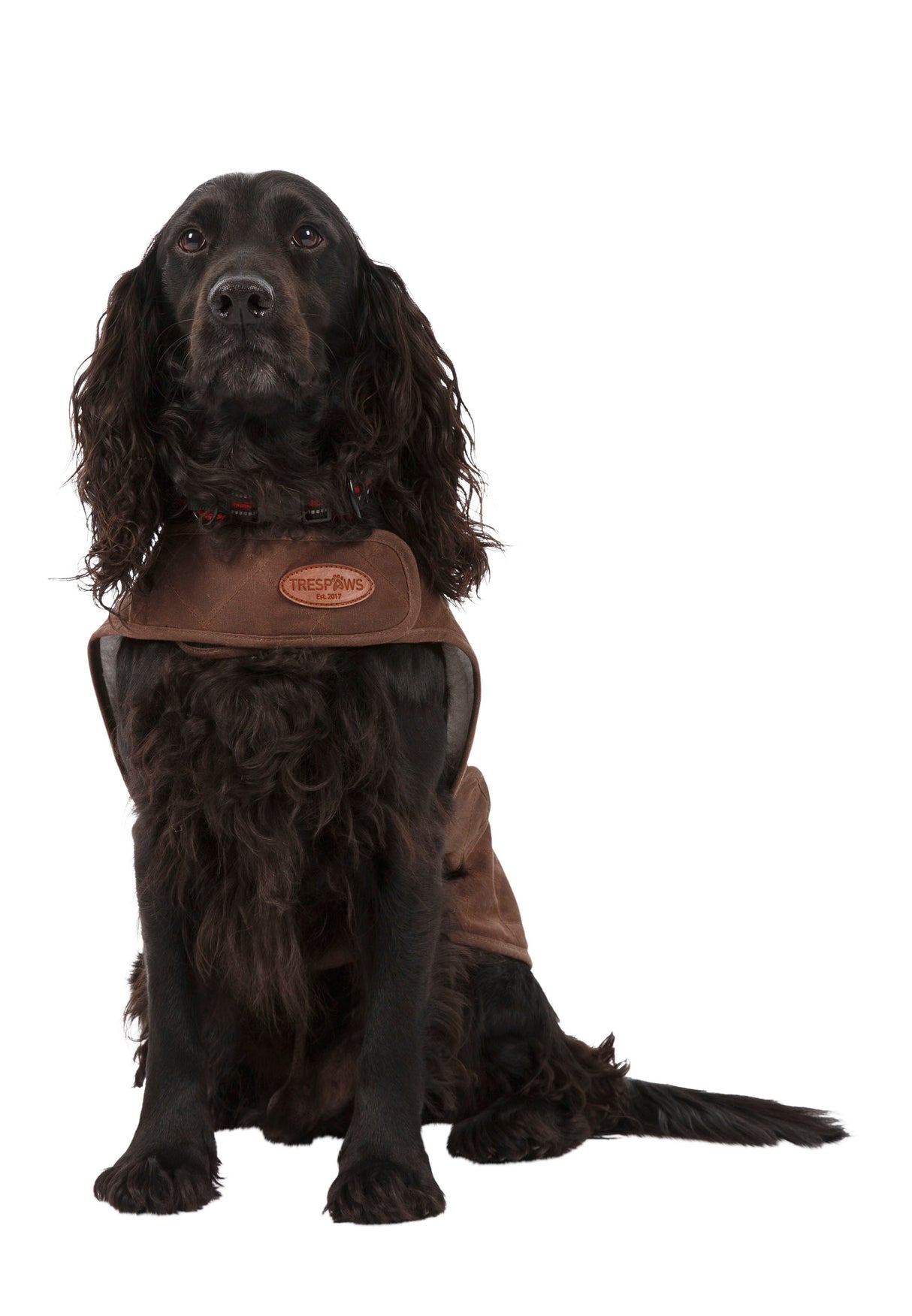 Artemis - Bark - Trespass