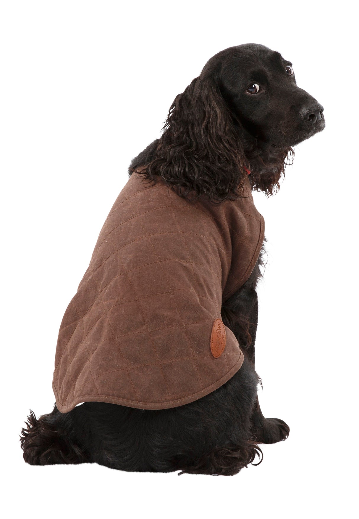 Artemis - Bark - Trespass