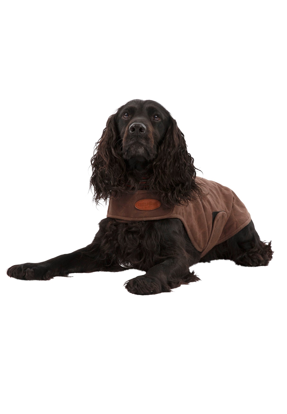 Artemis - Bark - Trespass