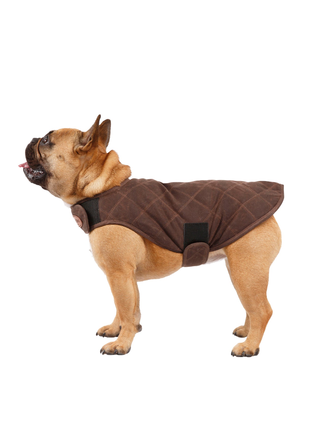 Artemis - Bark - Trespass
