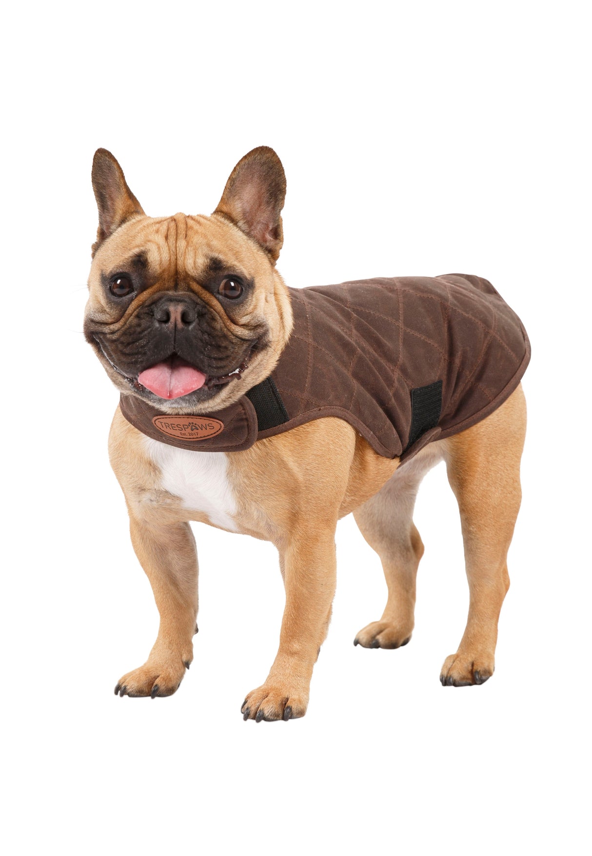 Artemis - Bark - Trespass