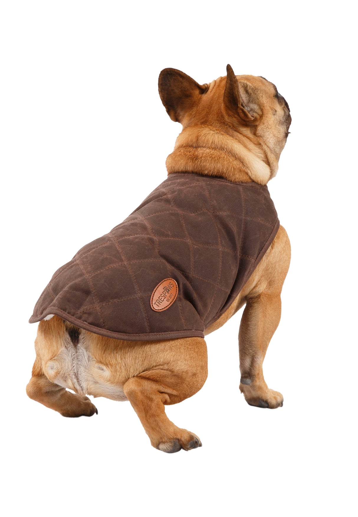 Artemis - Bark - Trespass