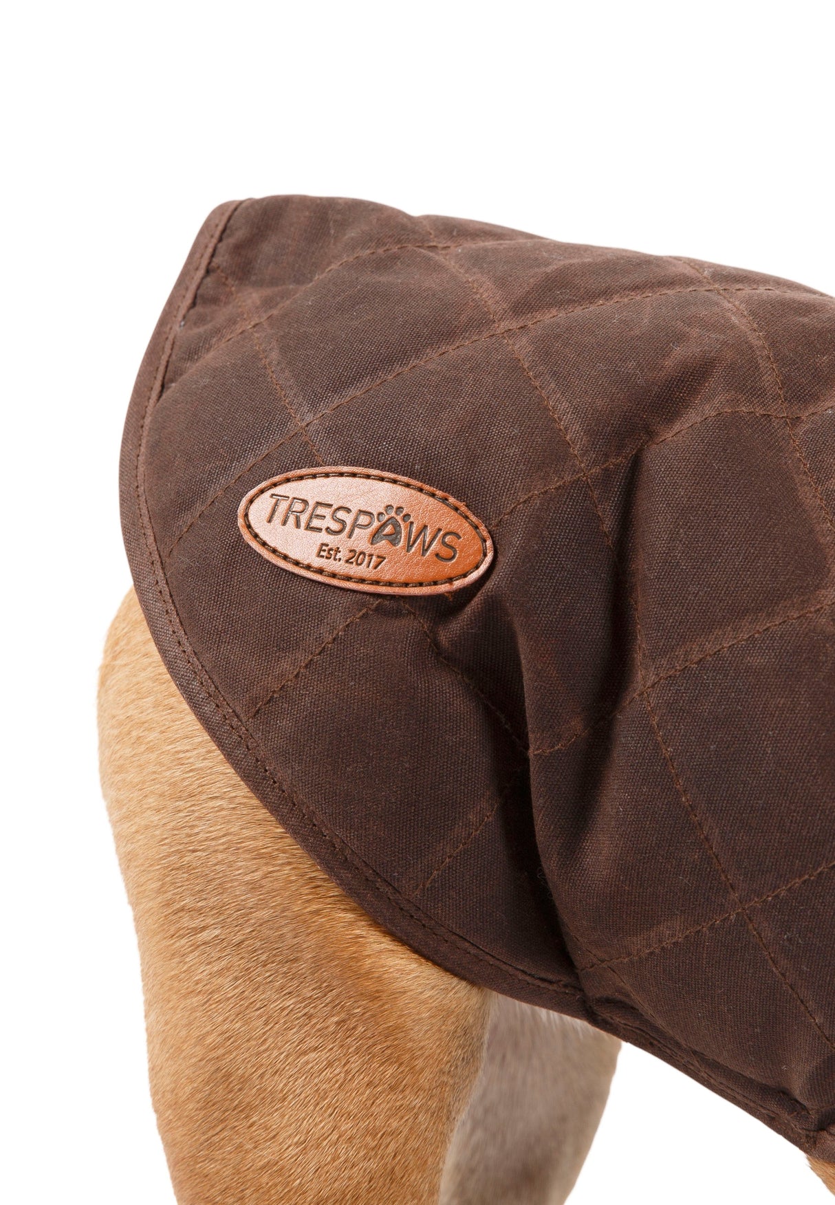 Artemis - Bark - Trespass
