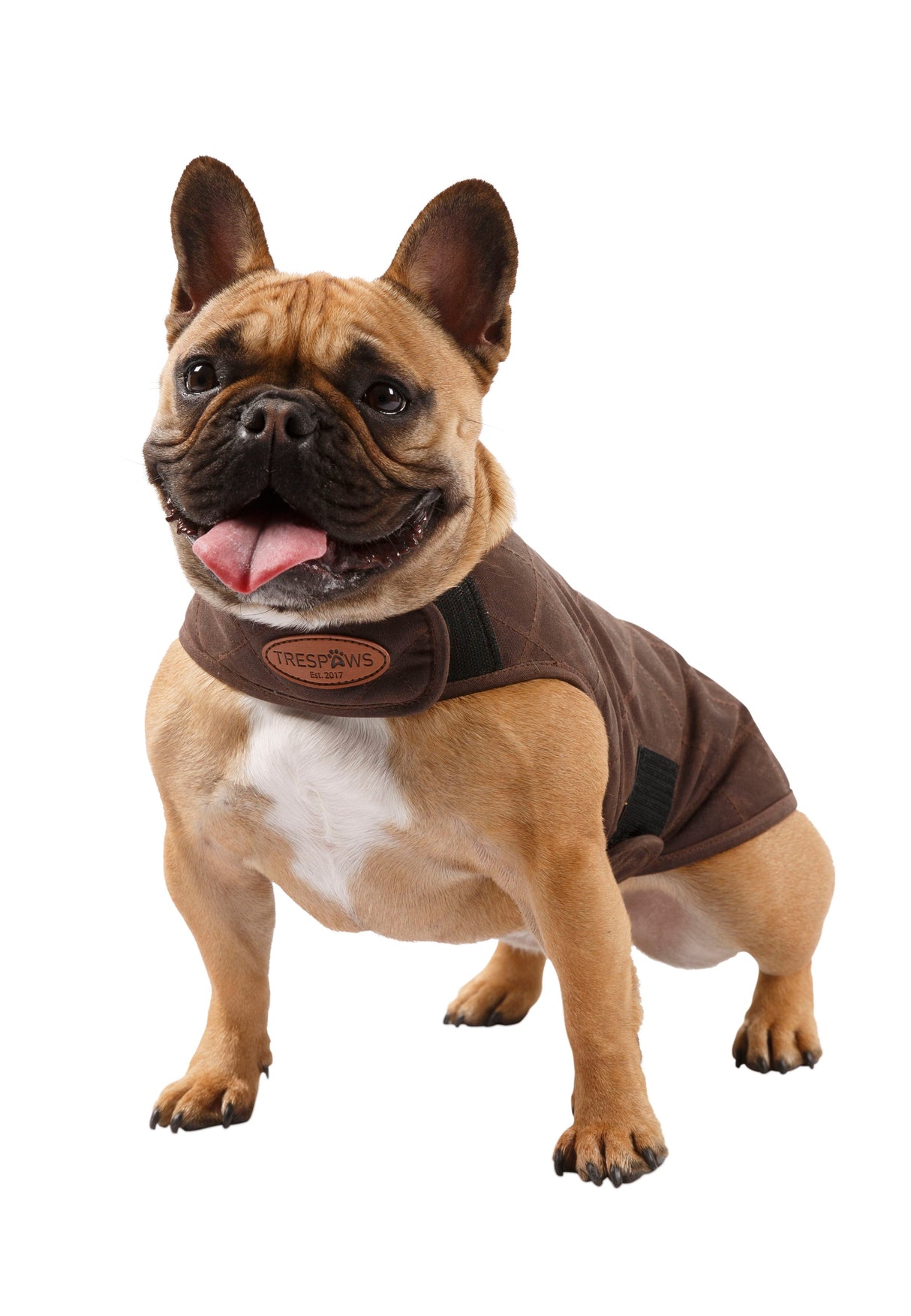 Artemis - Bark - Trespass