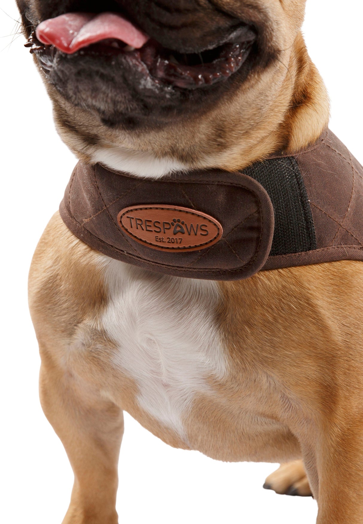 Artemis - Bark - Trespass