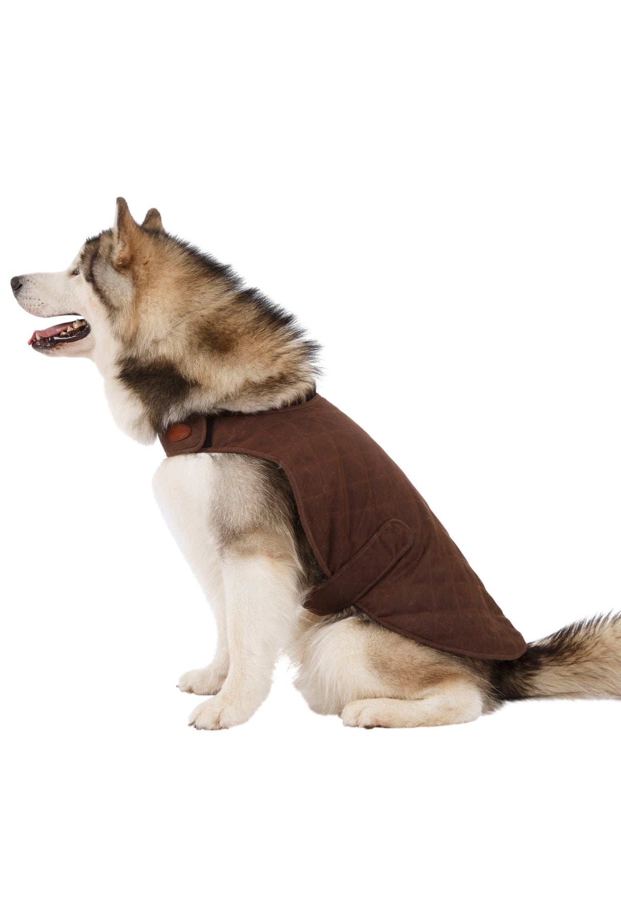 Artemis - Bark - Trespass