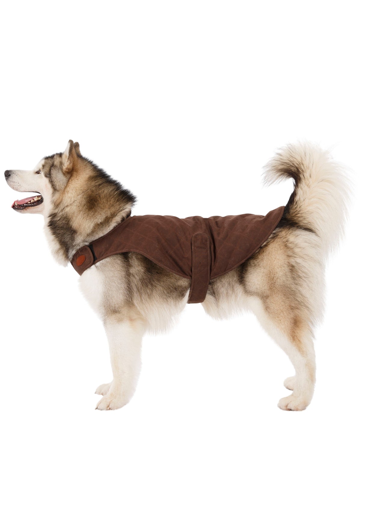 Artemis - Bark - Trespass