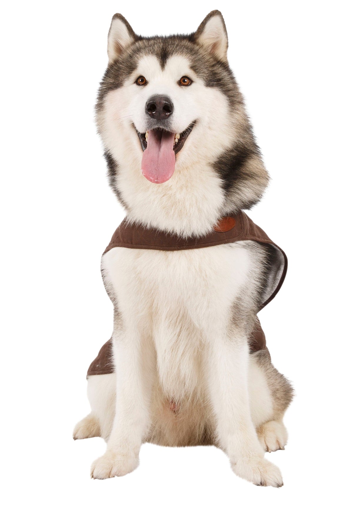 Artemis - Bark - Trespass