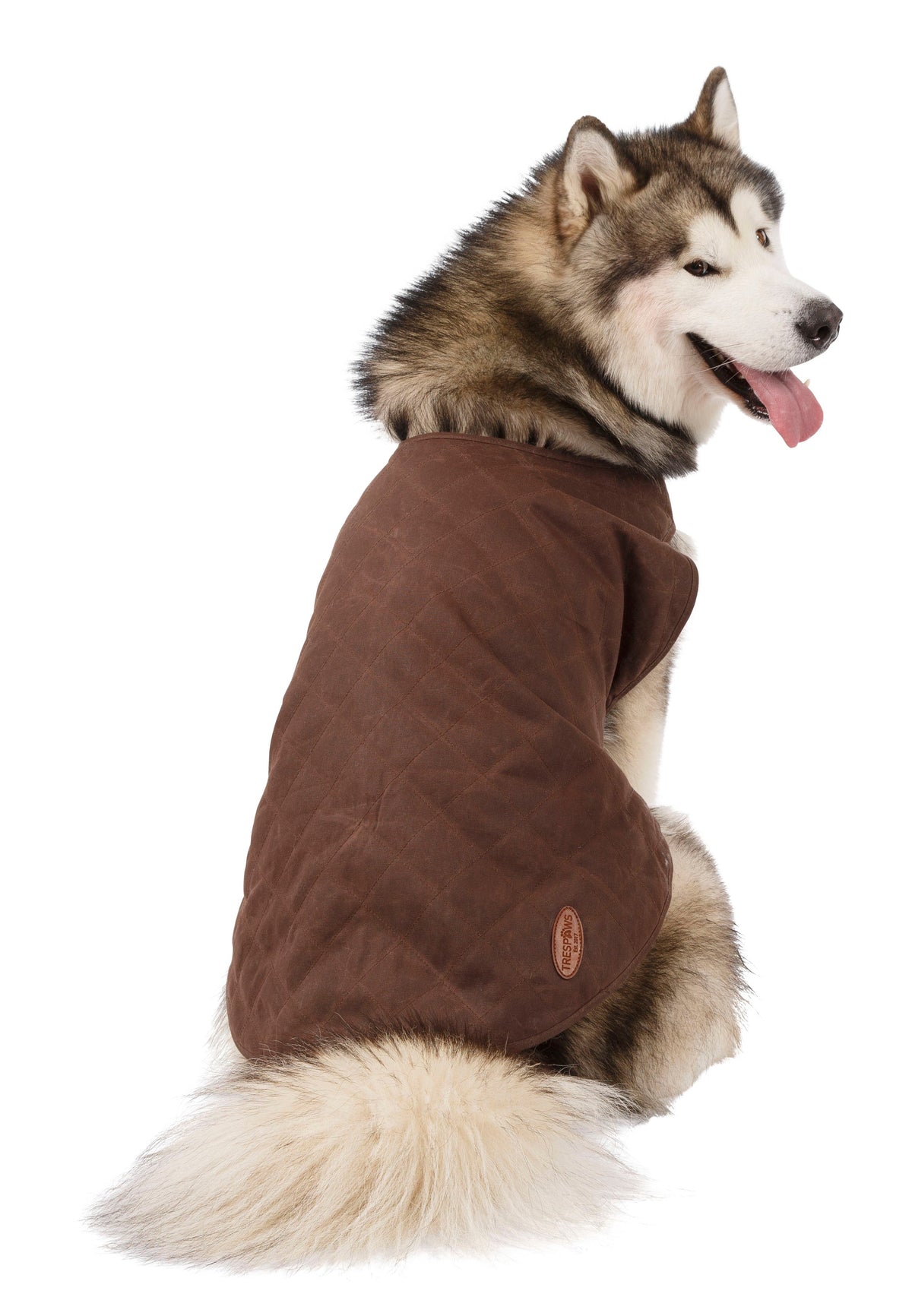 Artemis - Bark - Trespass
