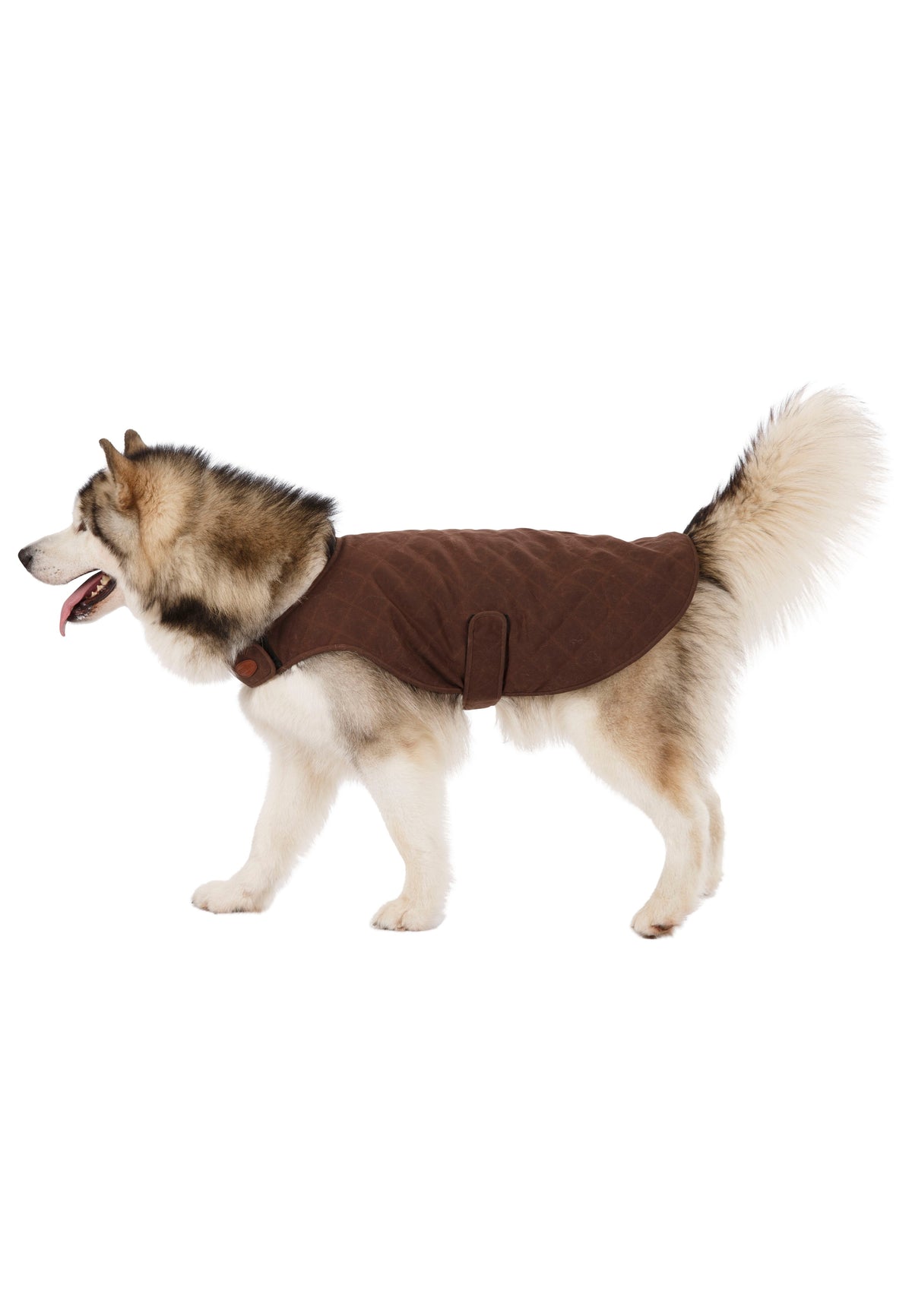 Artemis - Bark - Trespass