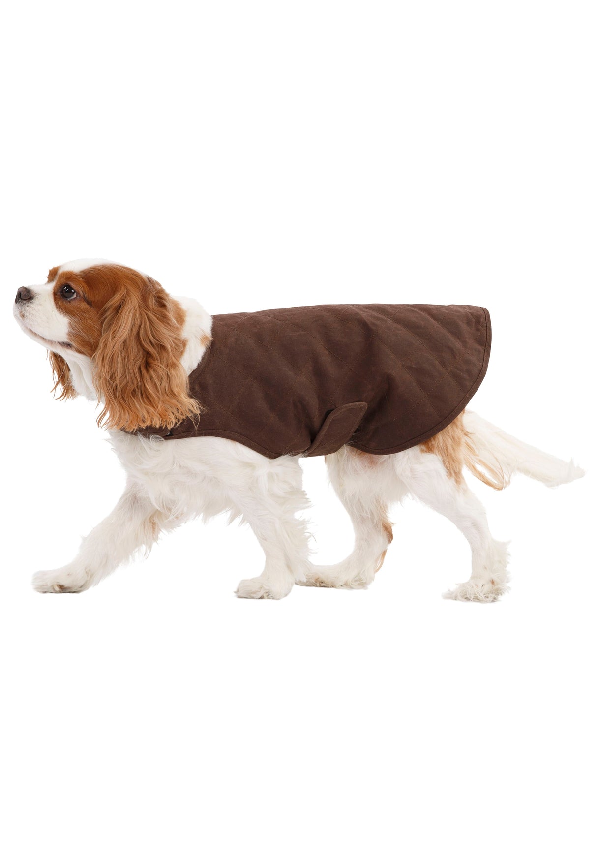 Artemis - Bark - Trespass