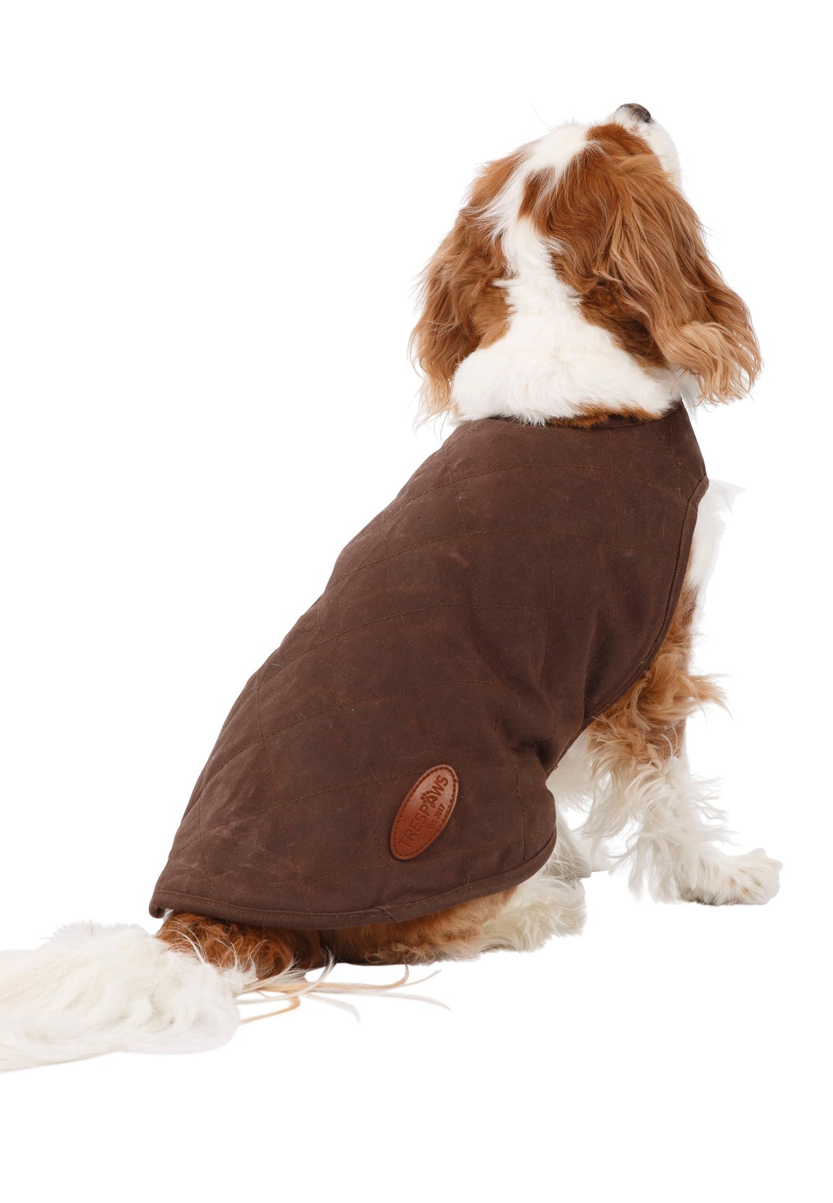 Artemis - Bark - Trespass