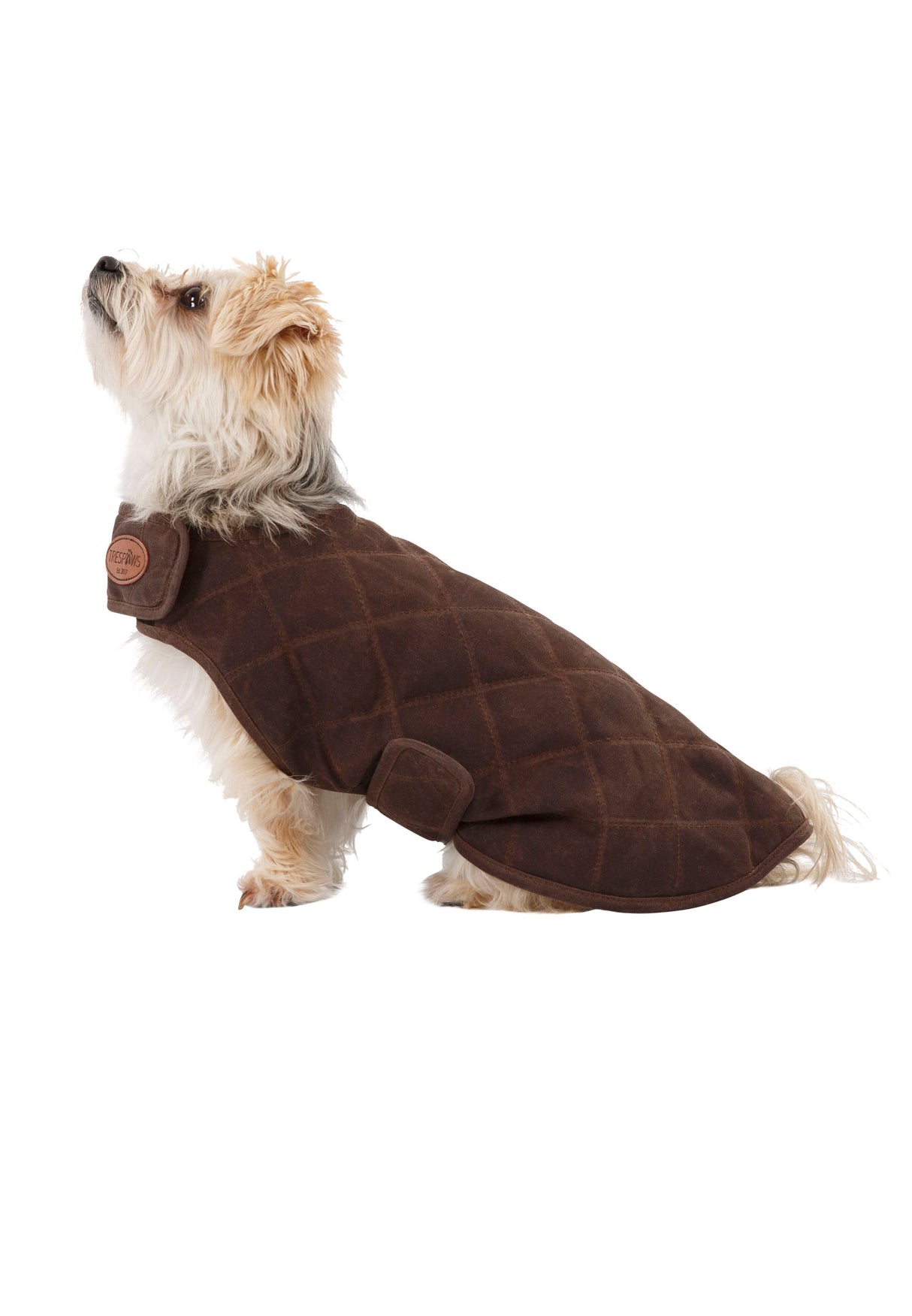 Artemis - Bark - Trespass