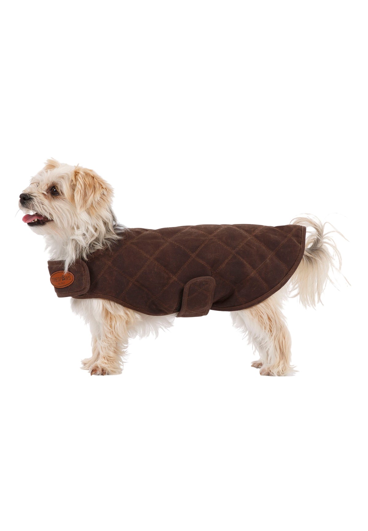 Artemis - Bark - Trespass