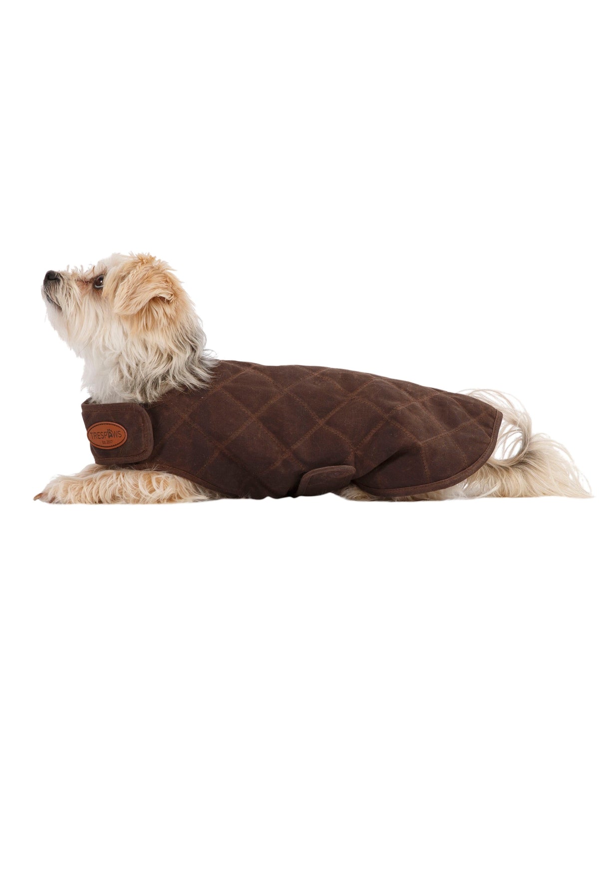 Artemis - Bark - Trespass