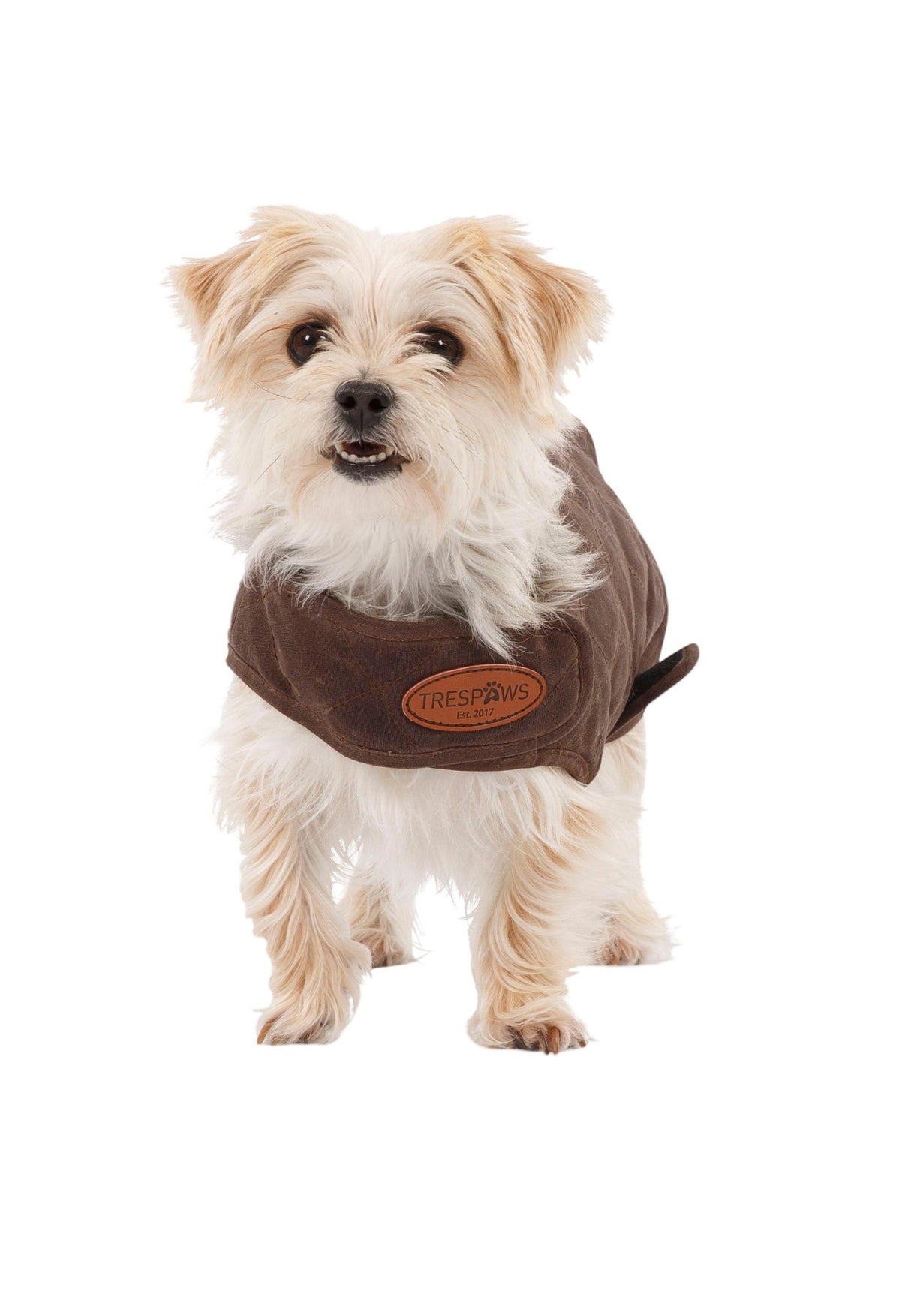 Artemis - Bark - Trespass