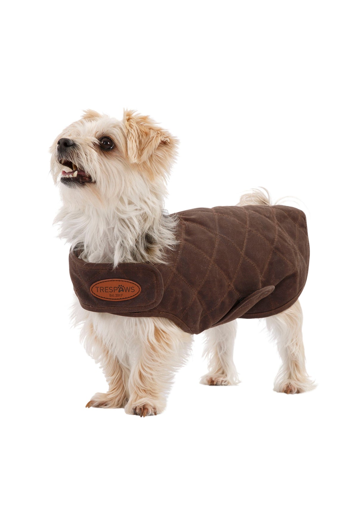 Artemis - Bark - Trespass