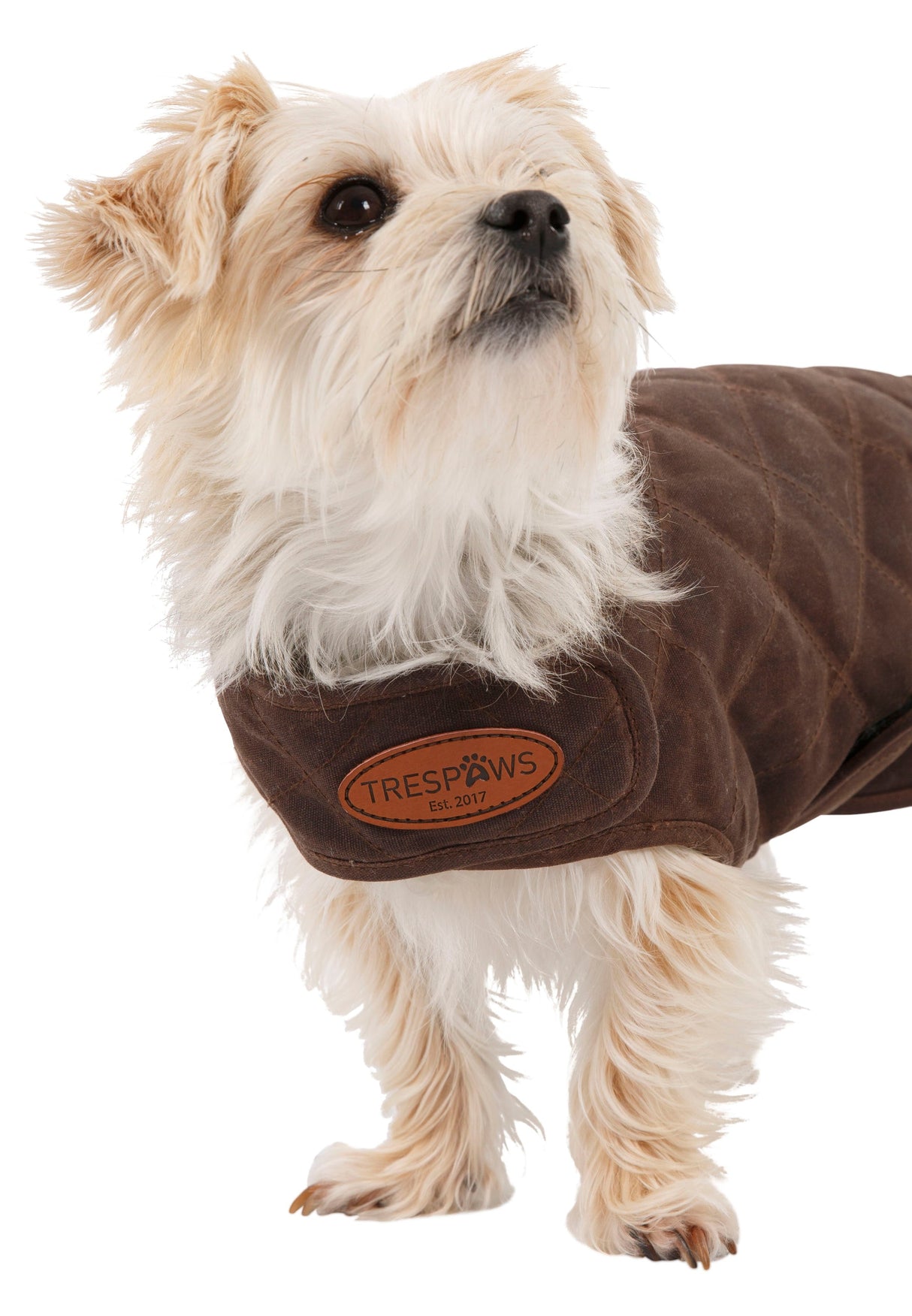 Artemis - Bark - Trespass