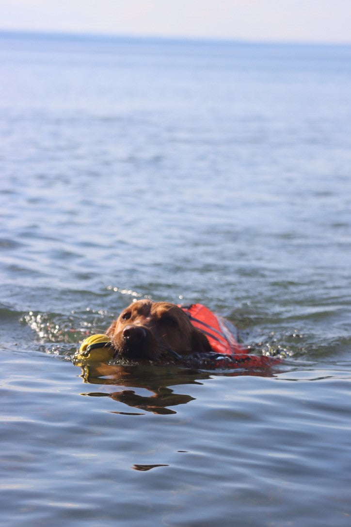 Life Jacket M