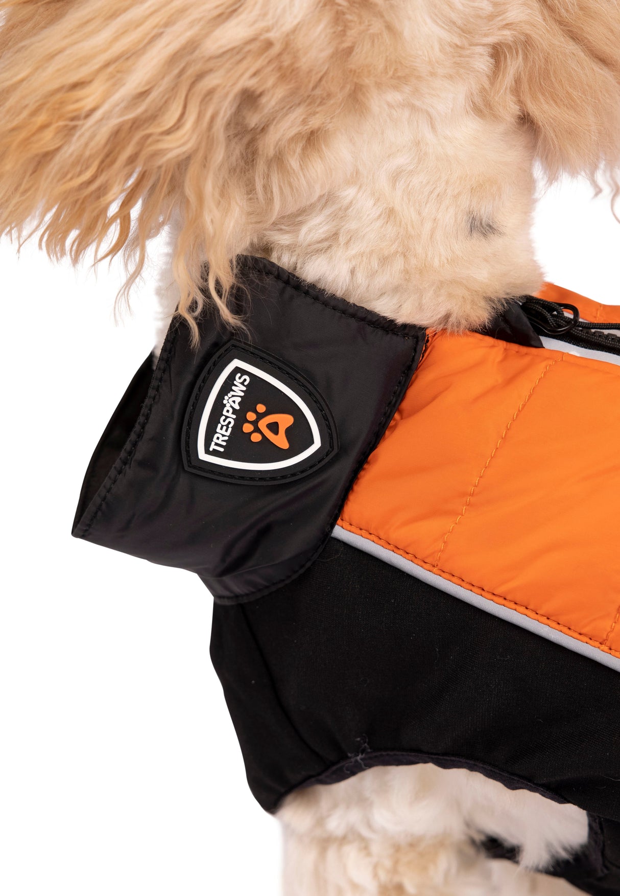 Beedle - Black/ Burnt Orange - Trespass