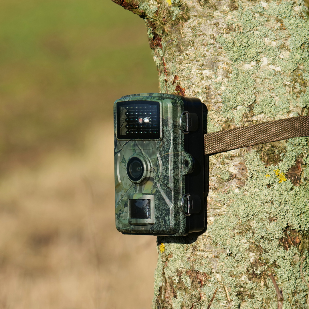 16MP Viltkamera – Senzor