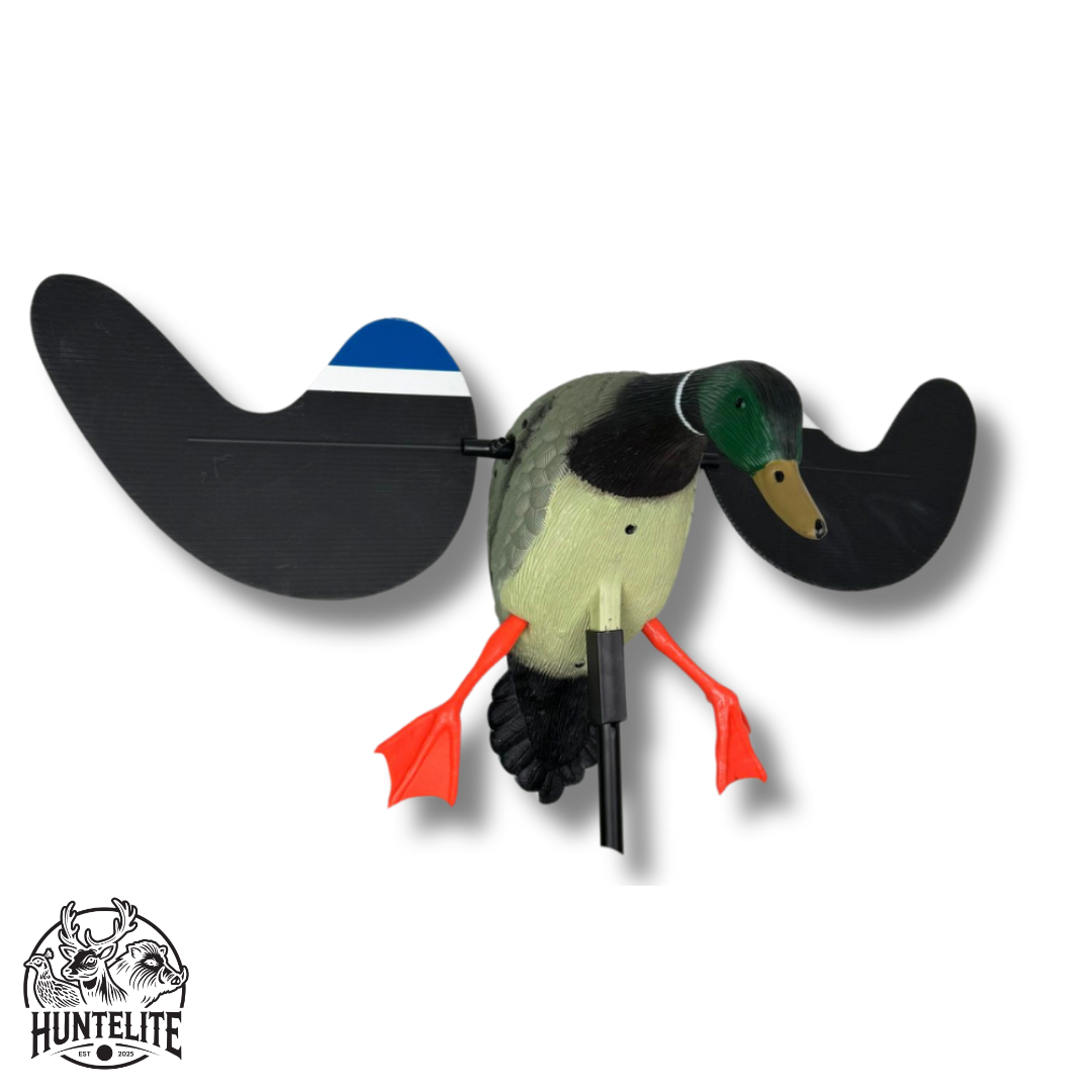 Spinnende Vingedue - Gråand Andrik – HuntElite