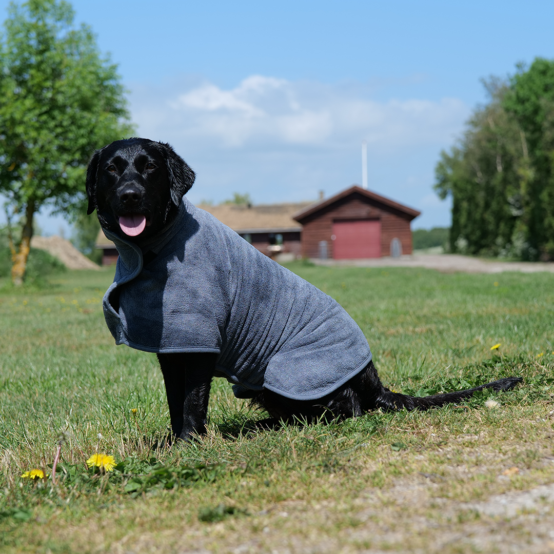 Hundevest - Tørkevest - Tørkedekken Grå – HuntElite