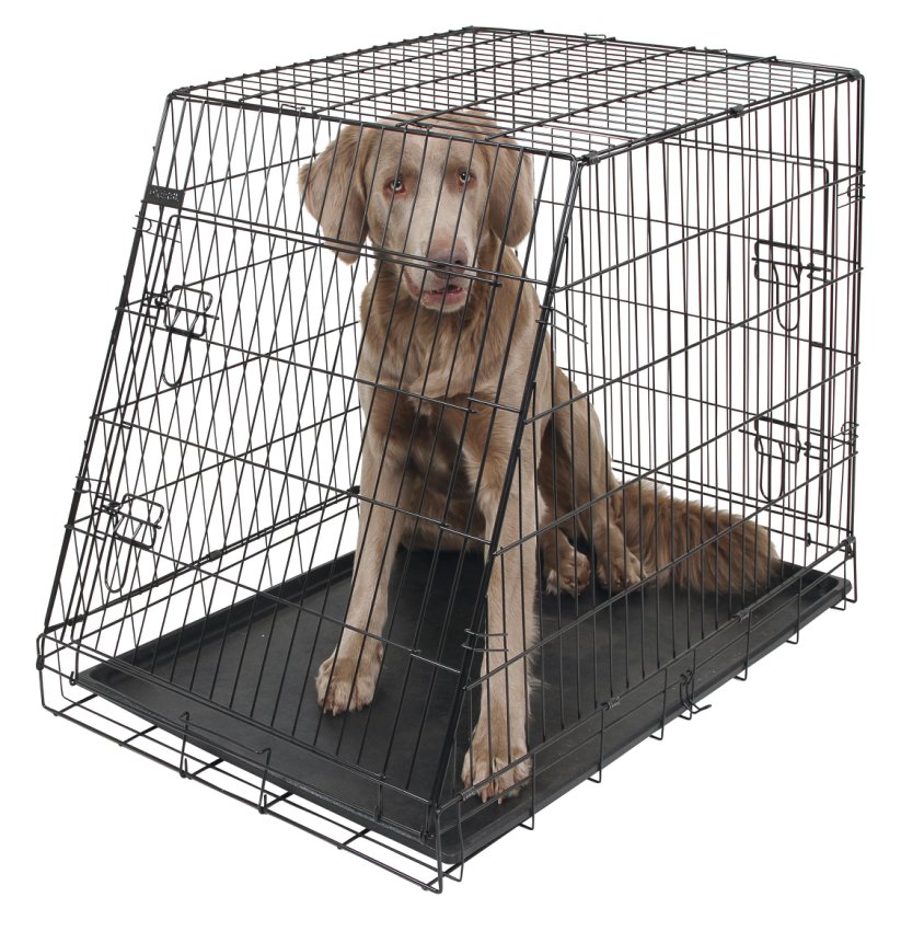 Sammenleggbart stålbur for hund, skrått – 63x48x57cm – Kerbl
