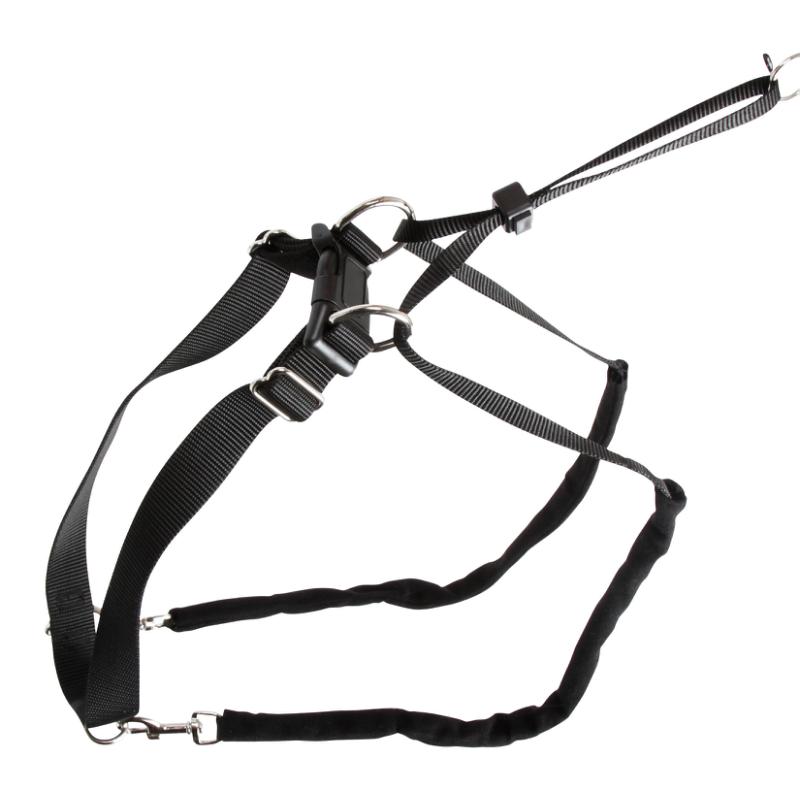 Hundesele Maxi Leader – Hals 25-30cm – Kerbl