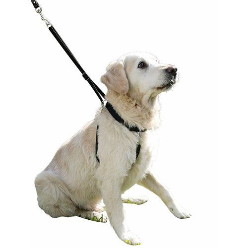 Hundesele Maxi Leader – Hals 25-30cm – Kerbl