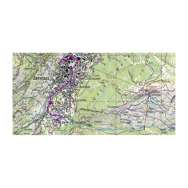 MicroSD™/SD™ kort: TOPO Schweiz v2 PRO 2