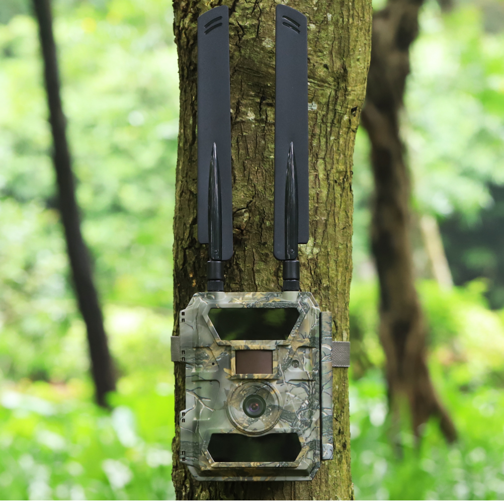 4G E-post/MMS Viltkamera – Senzor