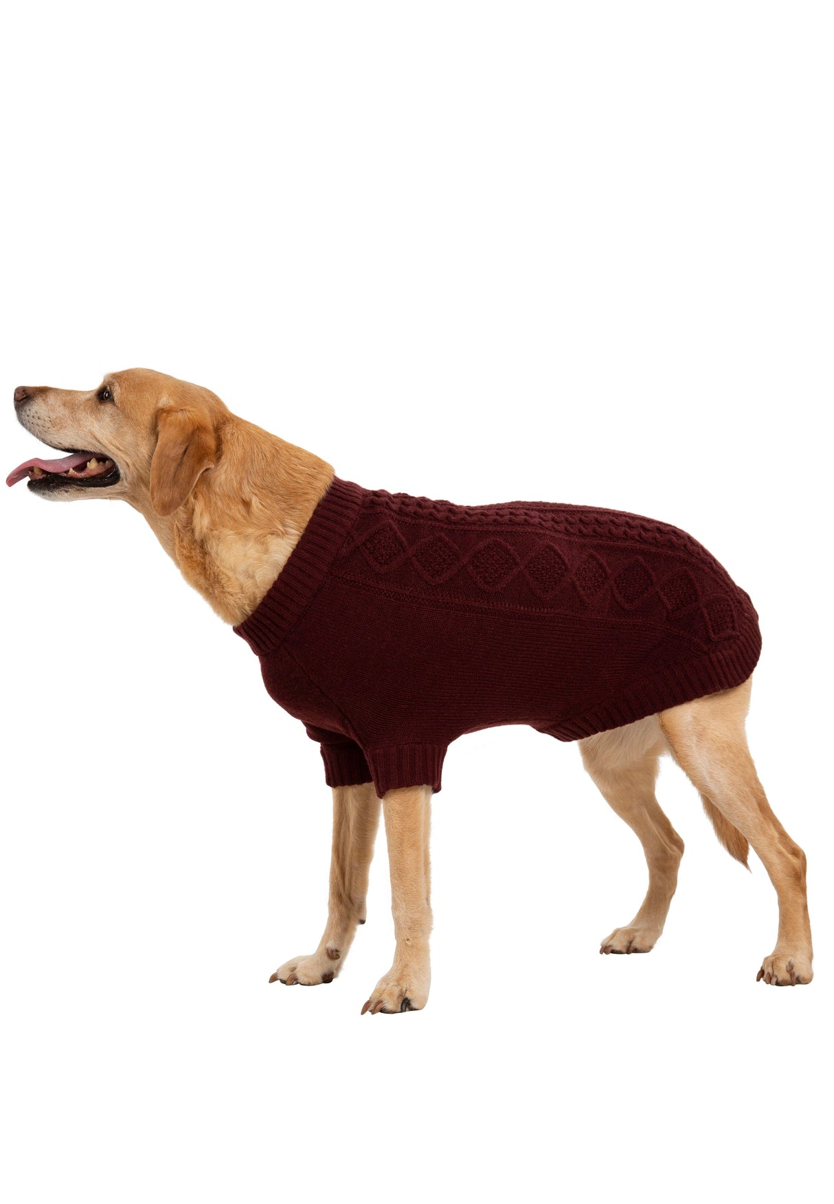 Snowhound - Merlot - Trespass