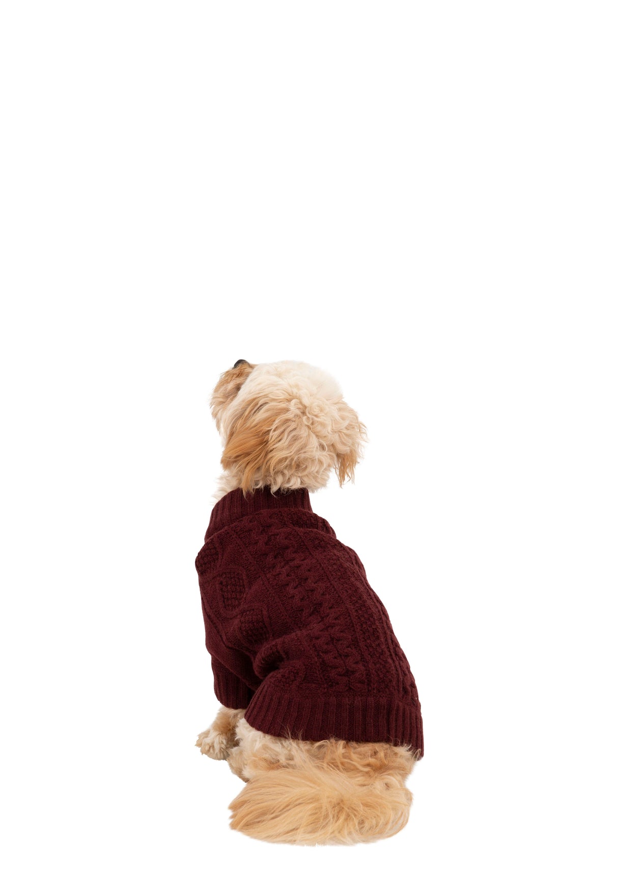 Snowhound - Merlot - Trespass