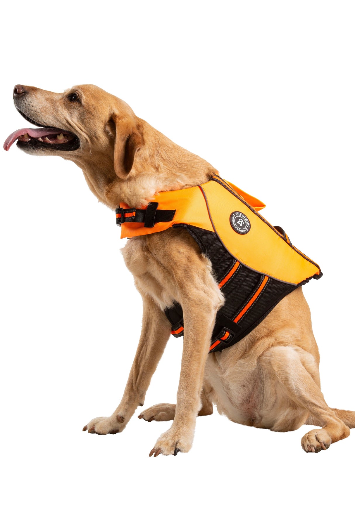 Surfdog - High Vis - Trespass