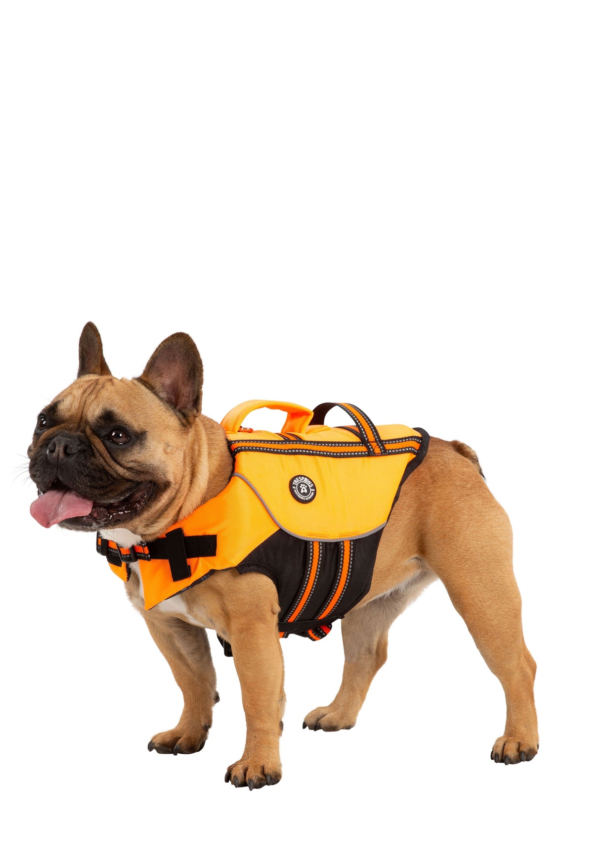 Surfdog - High Vis - Trespass