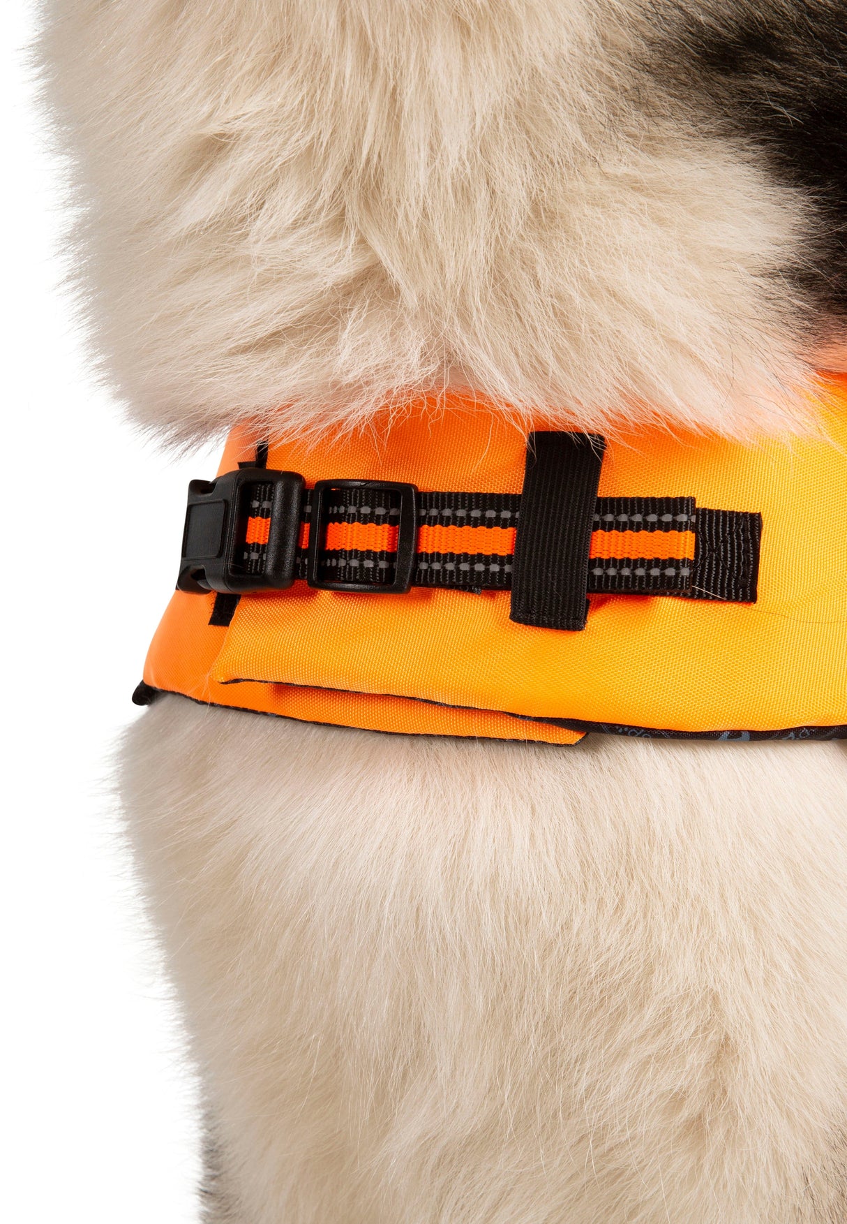 Surfdog - High Vis - Trespass