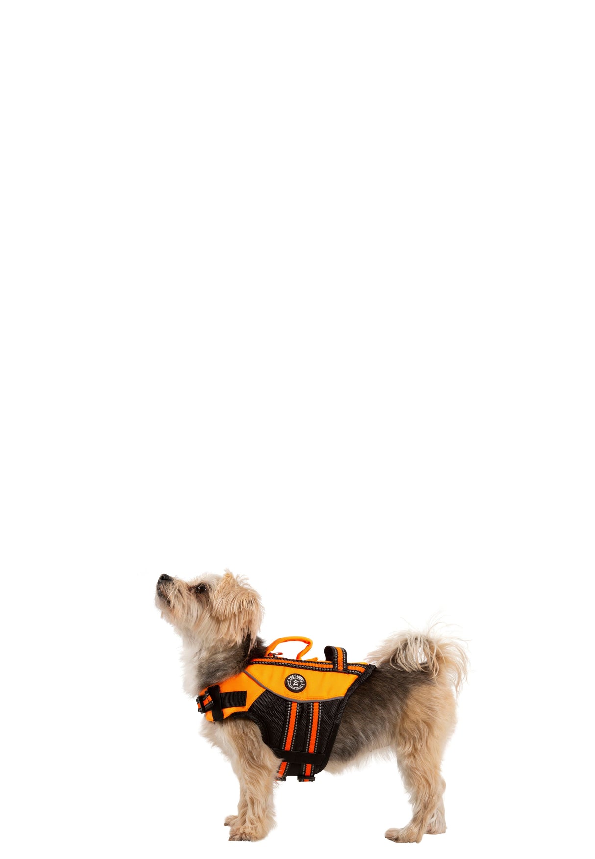 Surfdog - High Vis - Trespass