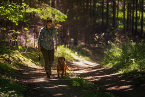 Larch Stretch Bukse Dame - Pine Green – Seeland