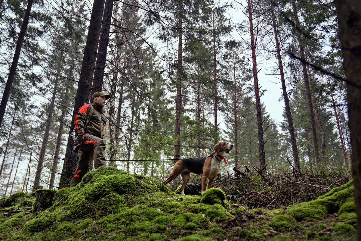 Pro Hunter Dog Keeper GTX Jakke Willow Green/Orange – Härkila