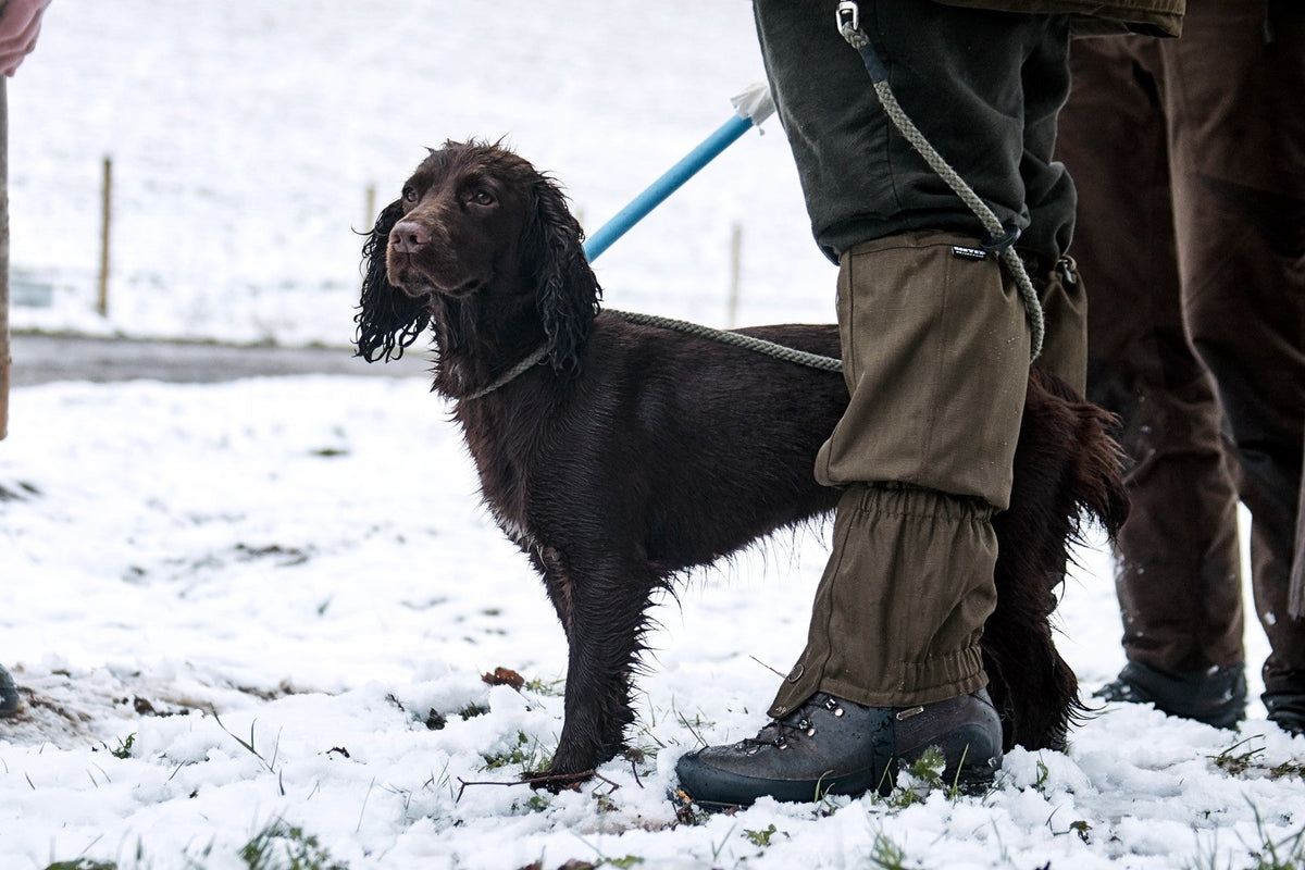 Buckthorn Gamasjer Shaded Olive – Seeland